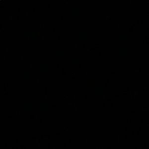 Meet your Posher, Audrey